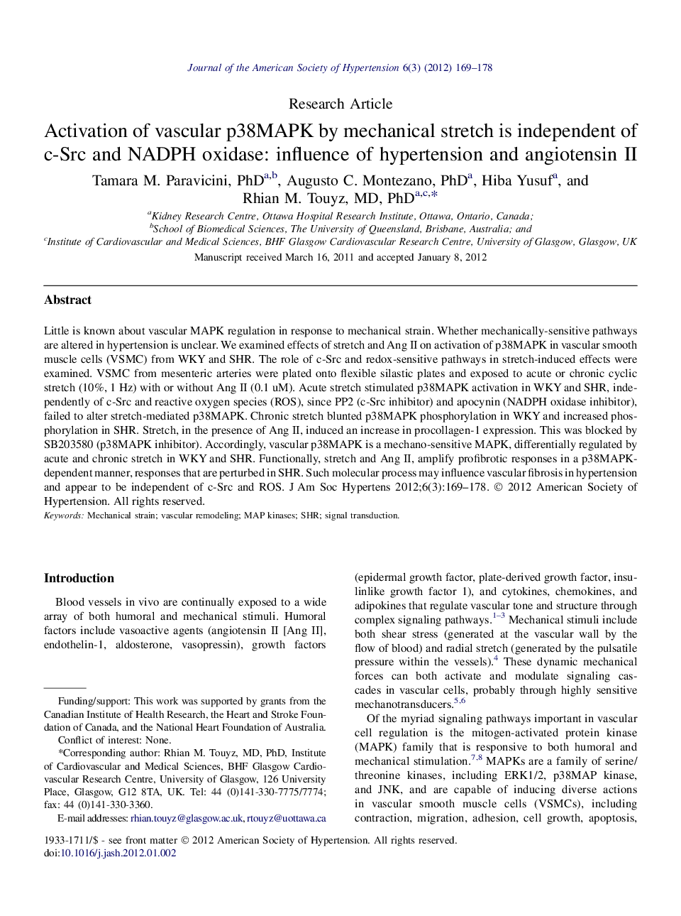 Activation of vascular p38MAPK by mechanical stretch is independent of c-Src and NADPH oxidase: influence of hypertension and angiotensin II 