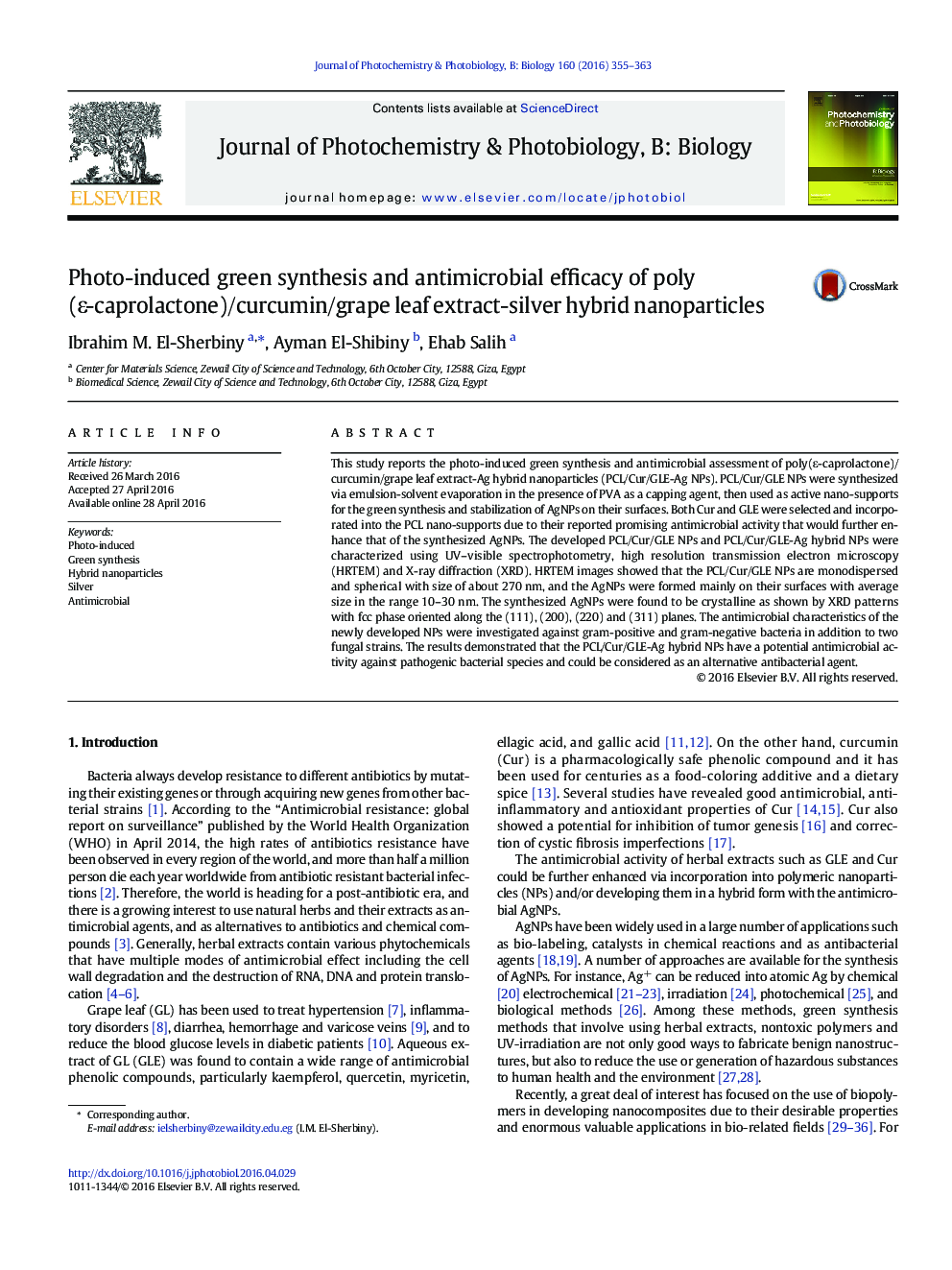 Photo-induced green synthesis and antimicrobial efficacy of poly (ɛ-caprolactone)/curcumin/grape leaf extract-silver hybrid nanoparticles