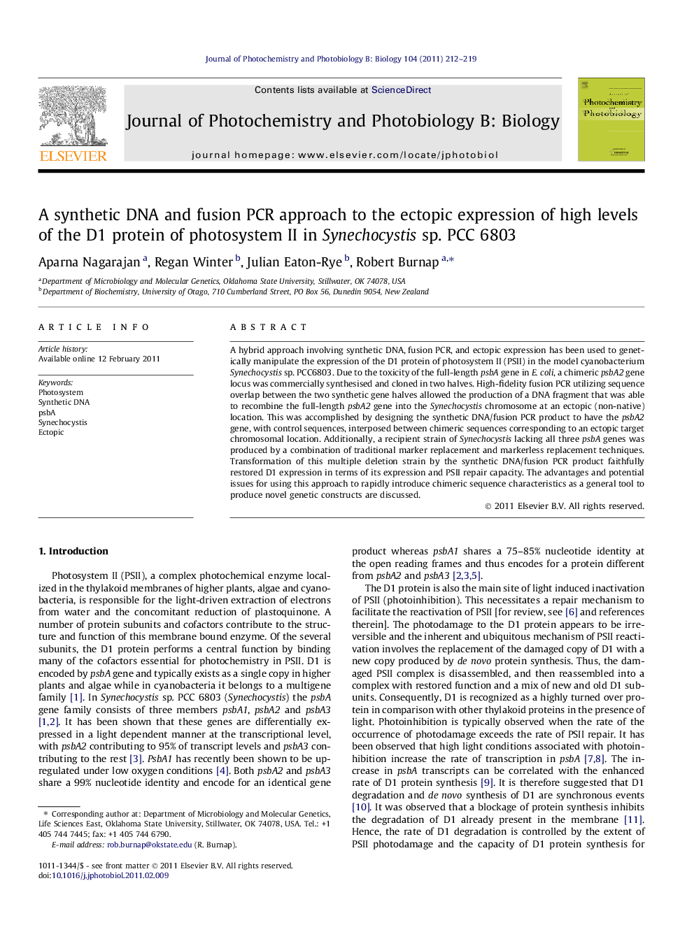 A synthetic DNA and fusion PCR approach to the ectopic expression of high levels of the D1 protein of photosystem II in Synechocystis sp. PCC 6803