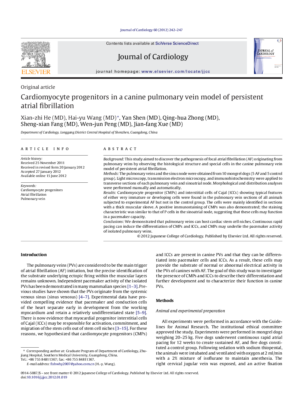 Cardiomyocyte progenitors in a canine pulmonary vein model of persistent atrial fibrillation