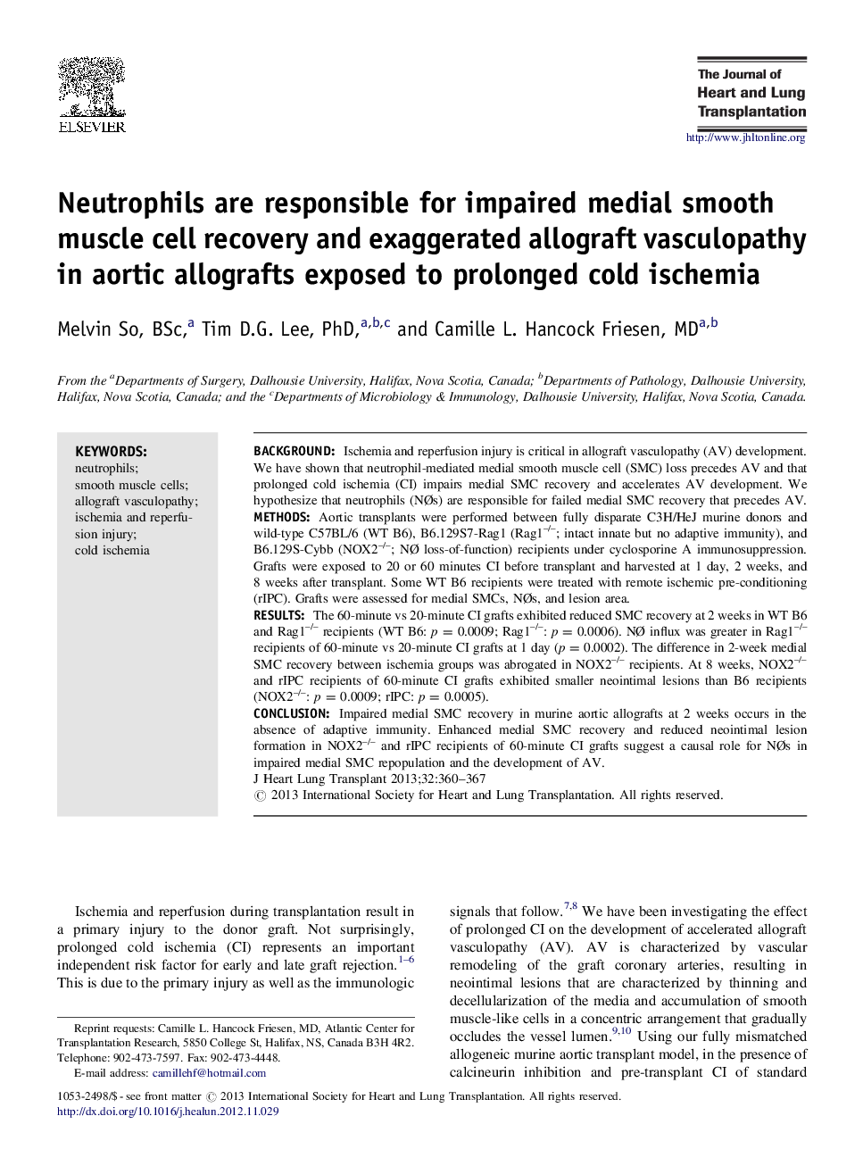 Neutrophils are responsible for impaired medial smooth muscle cell recovery and exaggerated allograft vasculopathy in aortic allografts exposed to prolonged cold ischemia