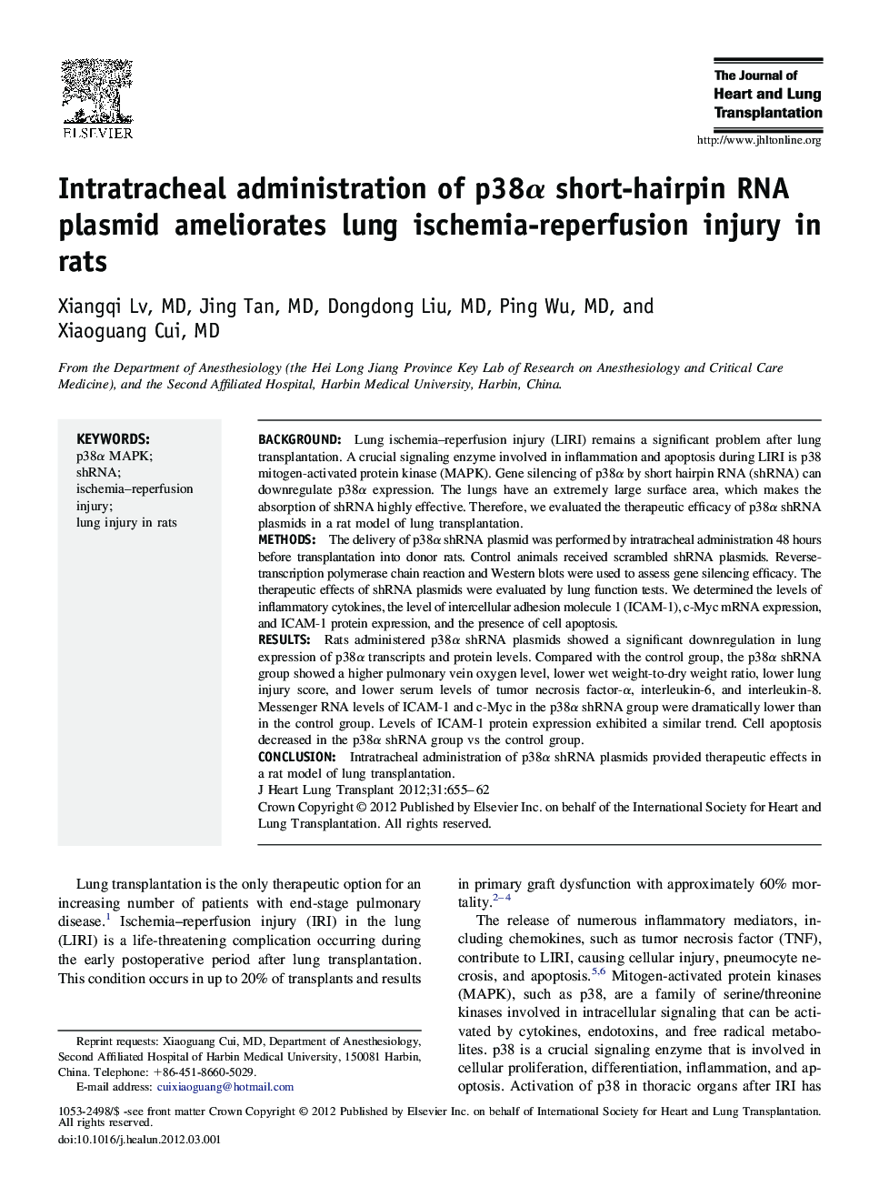 Intratracheal administration of p38Î± short-hairpin RNA plasmid ameliorates lung ischemia-reperfusion injury in rats