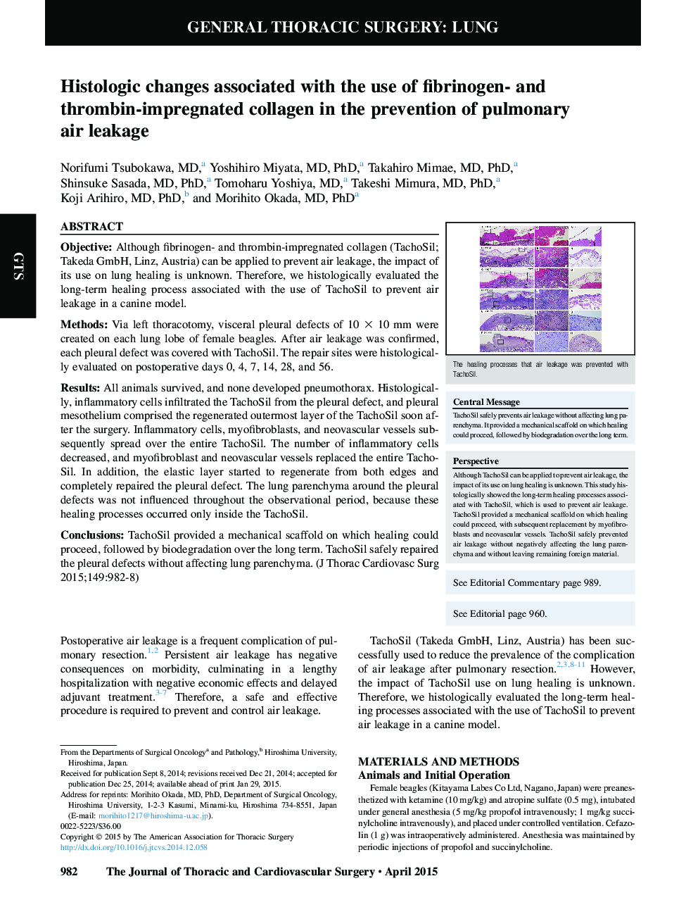 Histologic changes associated with the use of fibrinogen- and thrombin-impregnated collagen in the prevention of pulmonary air leakage