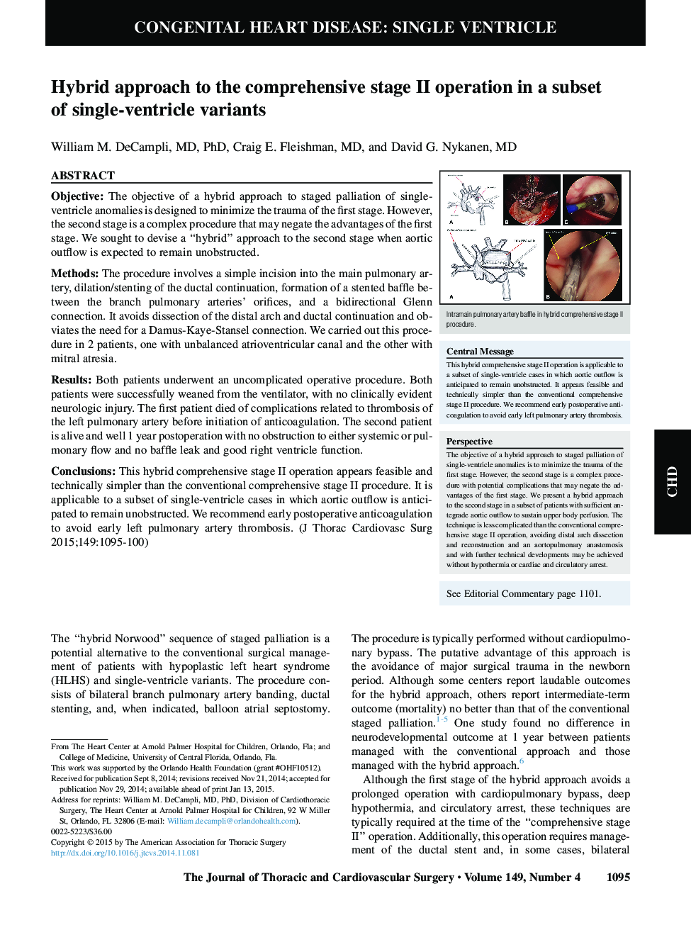 Hybrid approach to the comprehensive stage II operation in a subset of single-ventricle variants 