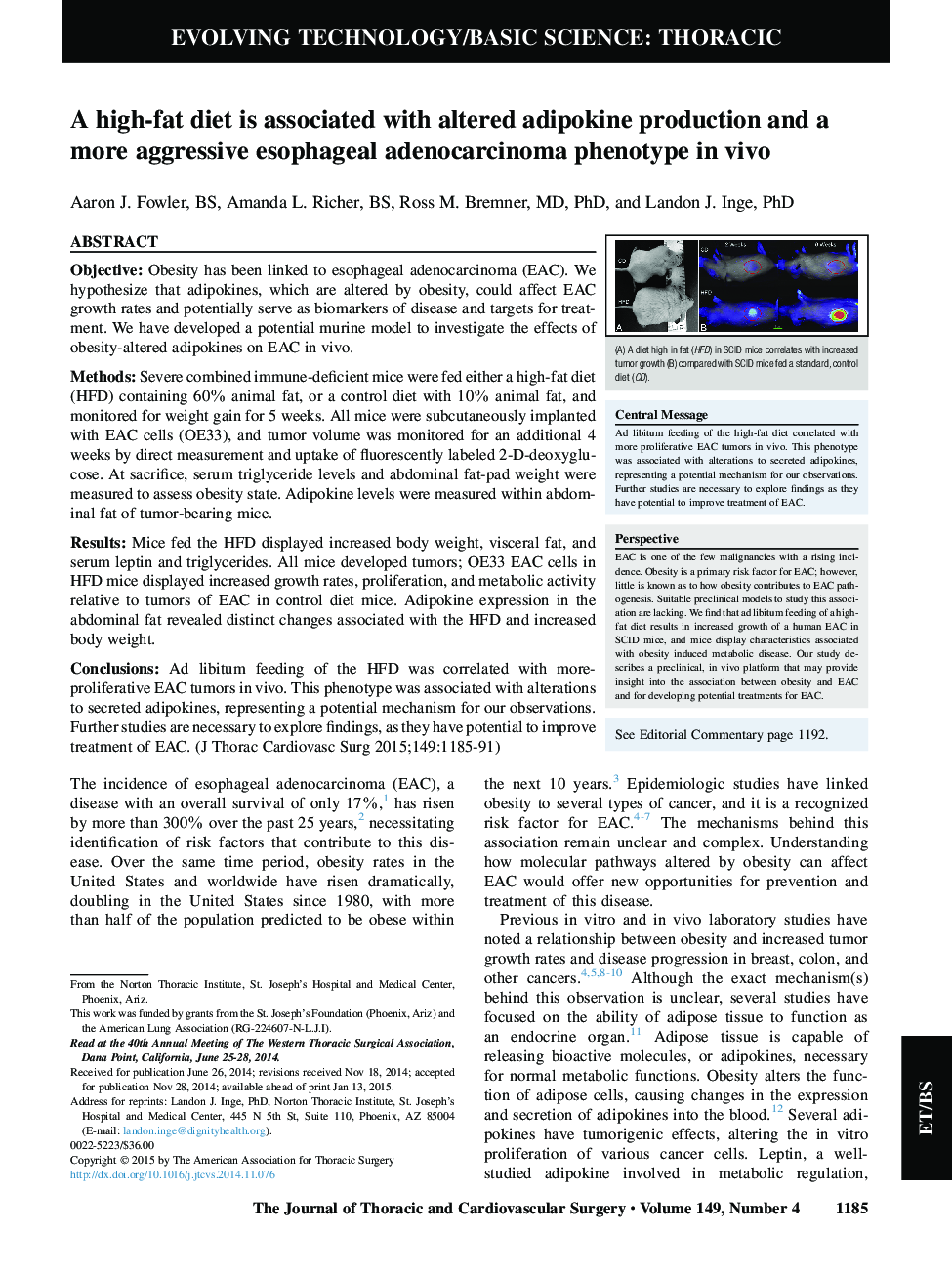 A high-fat diet is associated with altered adipokine production and a more aggressive esophageal adenocarcinoma phenotype in vivo 