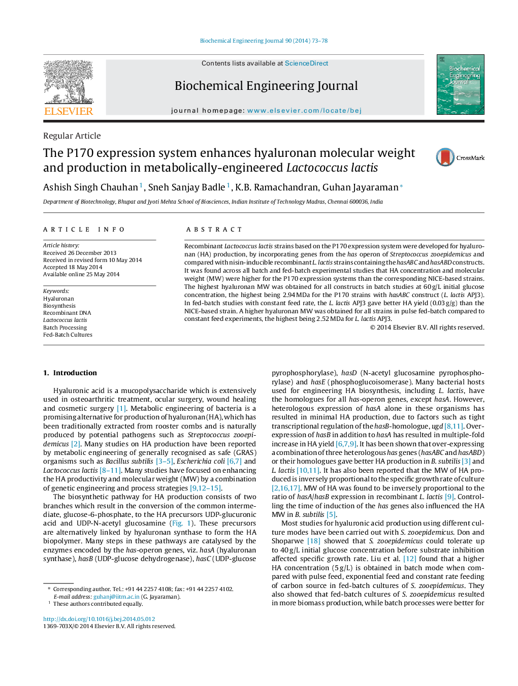 The P170 expression system enhances hyaluronan molecular weight and production in metabolically-engineered Lactococcus lactis