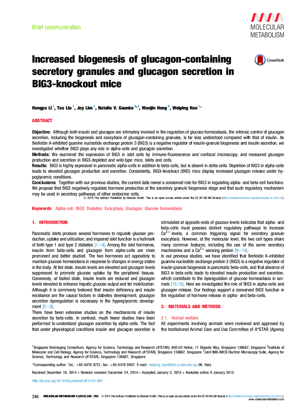 Increased biogenesis of glucagon-containing secretory granules and glucagon secretion in BIG3-knockout mice