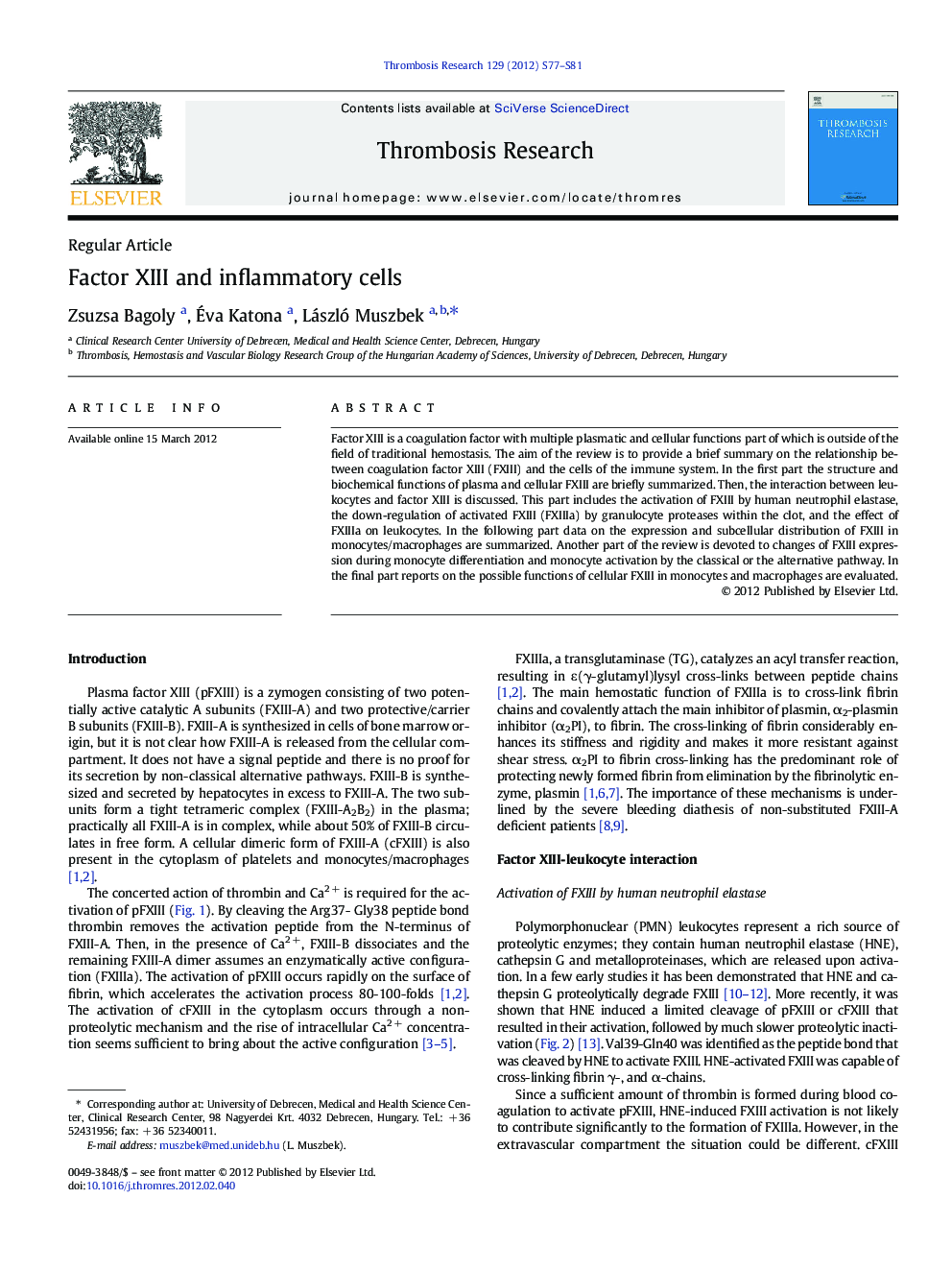Factor XIII and inflammatory cells