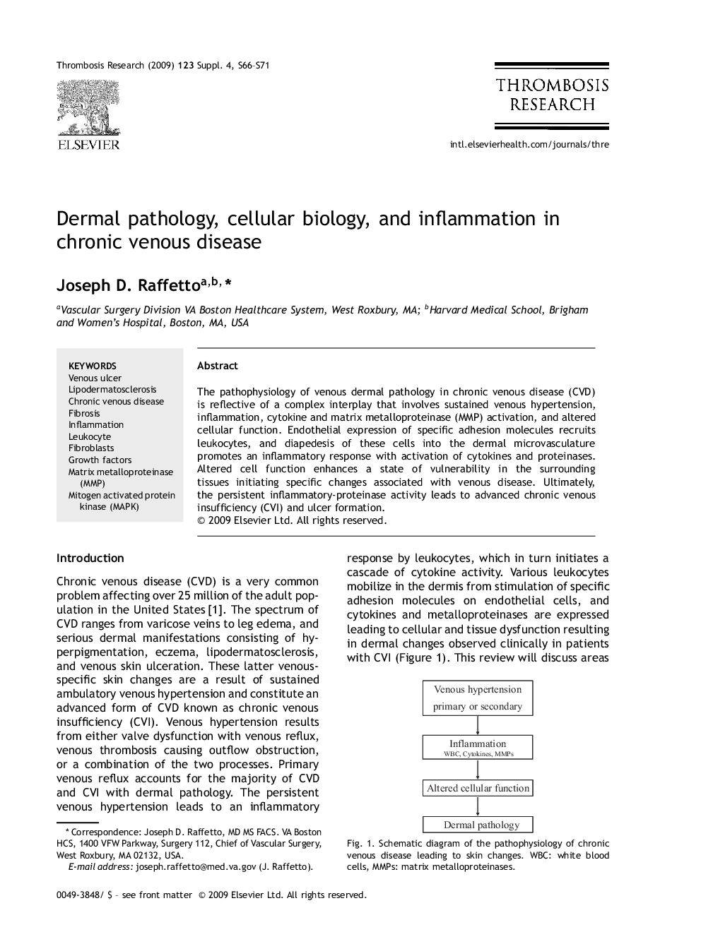 Dermal pathology, cellular biology, and inflammation in chronic venous disease