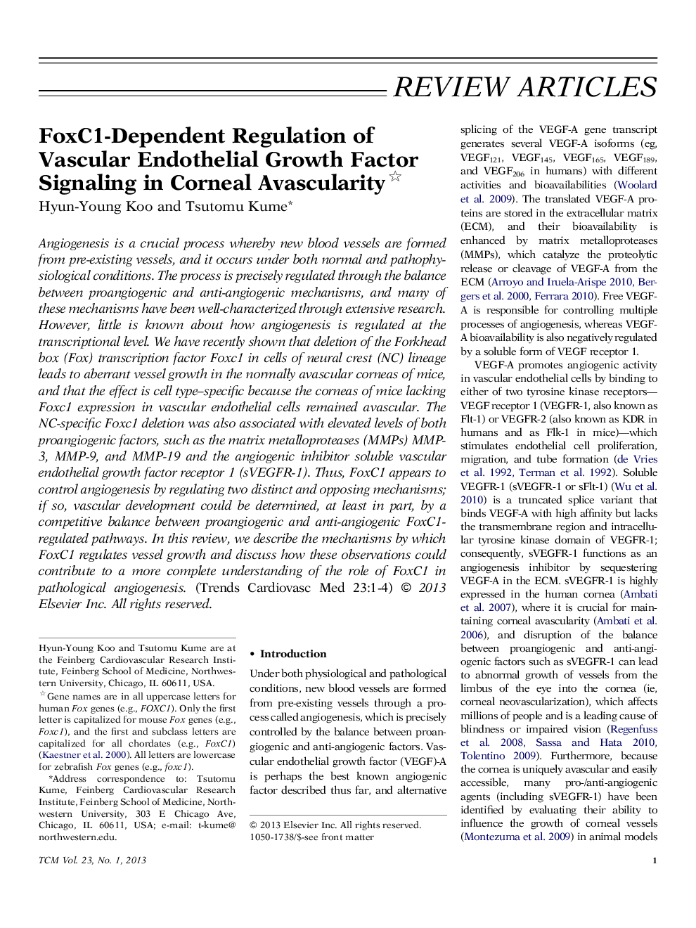 FoxC1-Dependent Regulation of Vascular Endothelial Growth Factor Signaling in Corneal Avascularity