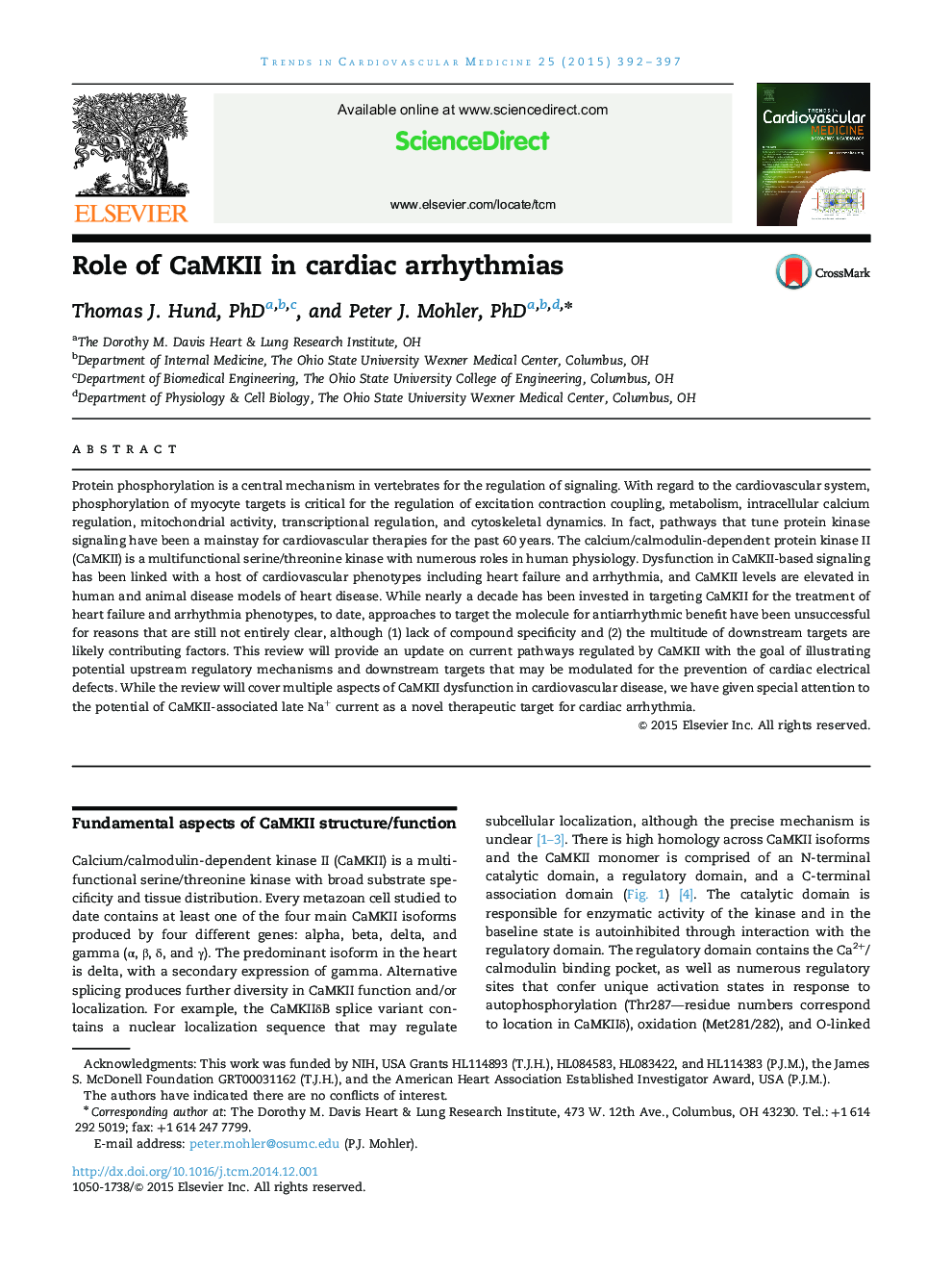 Role of CaMKII in cardiac arrhythmias 