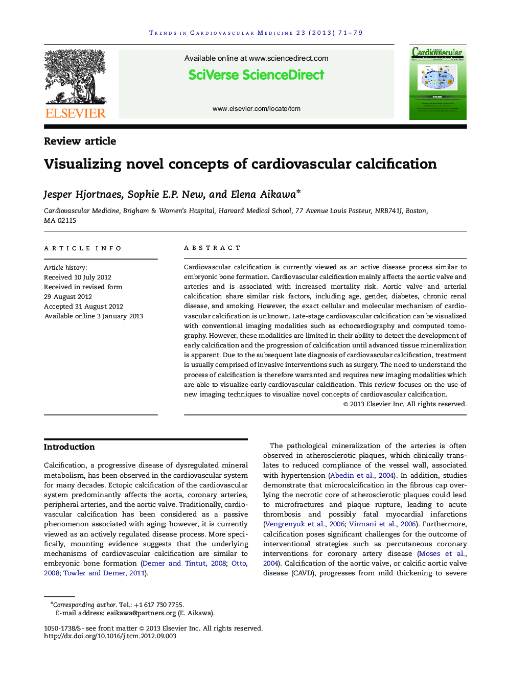 Visualizing novel concepts of cardiovascular calcification