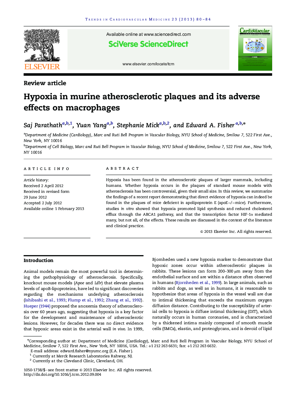 Hypoxia in murine atherosclerotic plaques and its adverse effects on macrophages