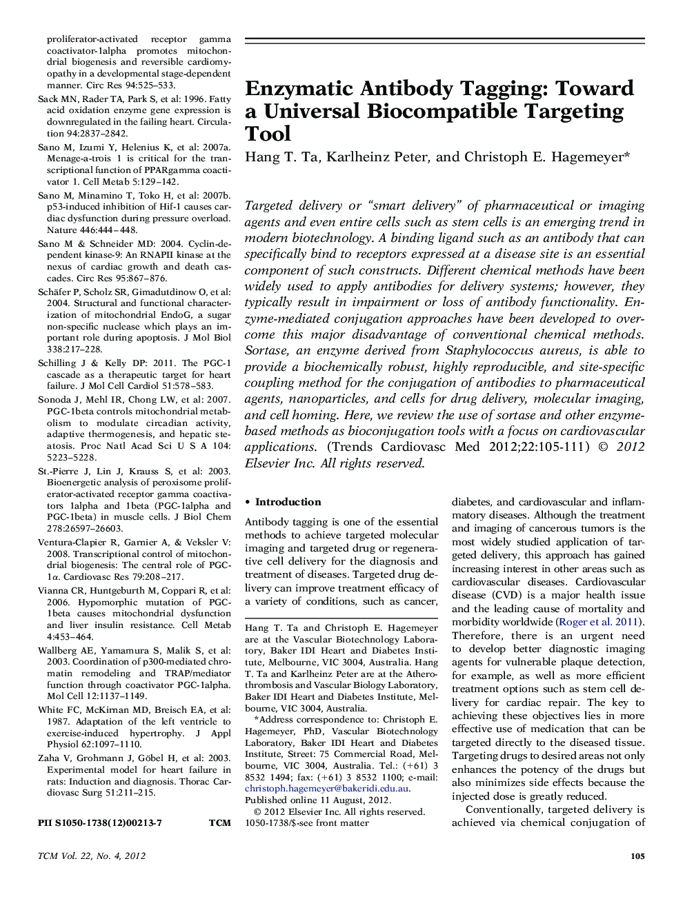 Enzymatic Antibody Tagging: Toward a Universal Biocompatible Targeting Tool