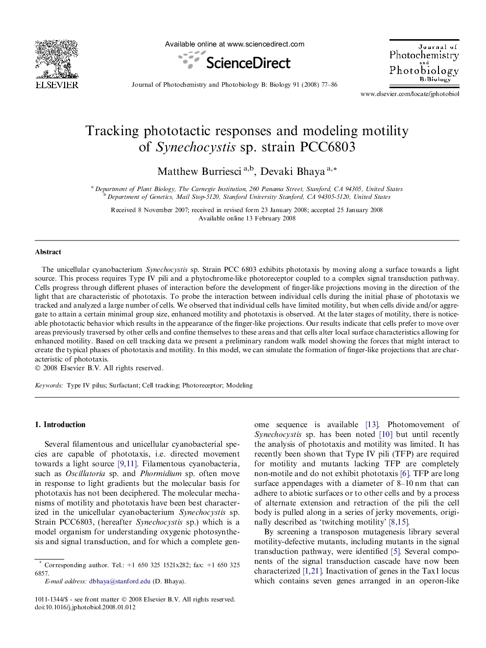 Tracking phototactic responses and modeling motility of Synechocystis sp. strain PCC6803