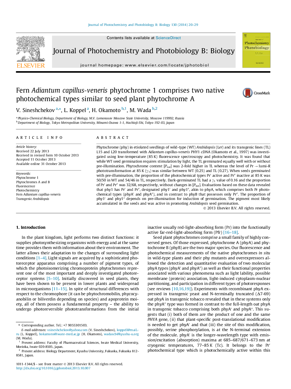 Fern Adiantum capillus-veneris phytochrome 1 comprises two native photochemical types similar to seed plant phytochrome A