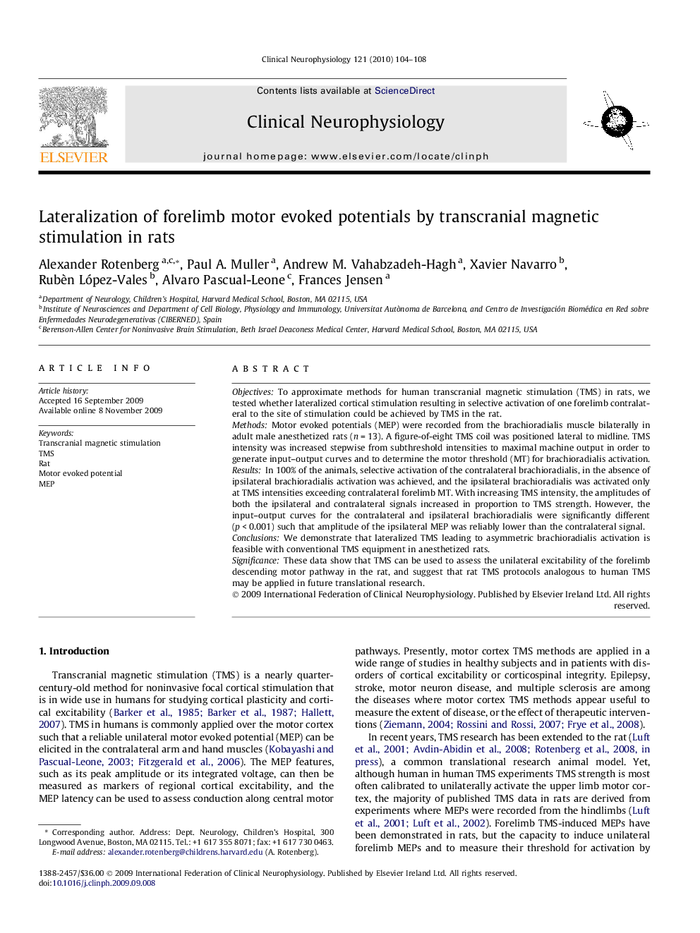 Lateralization of forelimb motor evoked potentials by transcranial magnetic stimulation in rats