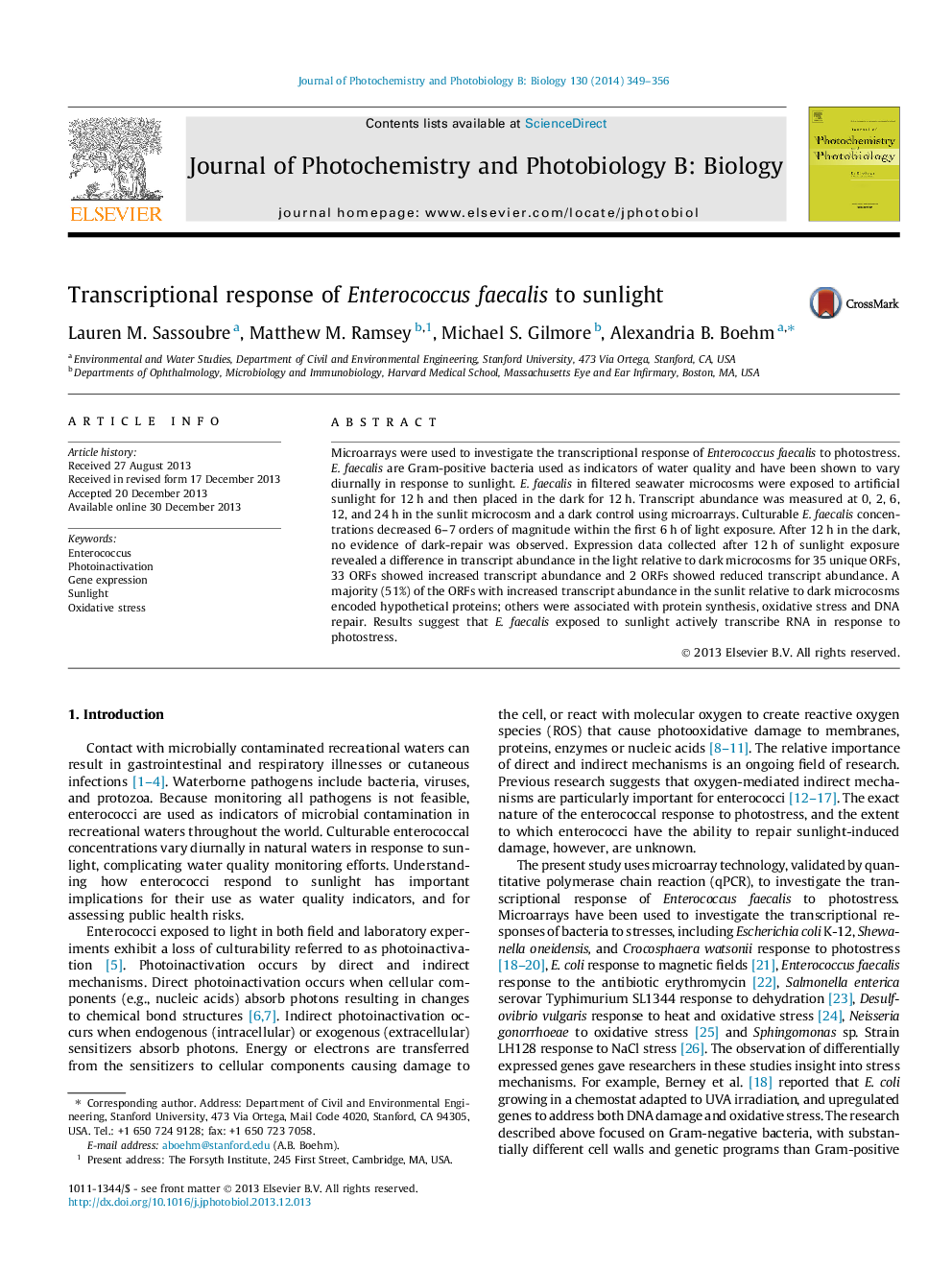 Transcriptional response of Enterococcus faecalis to sunlight