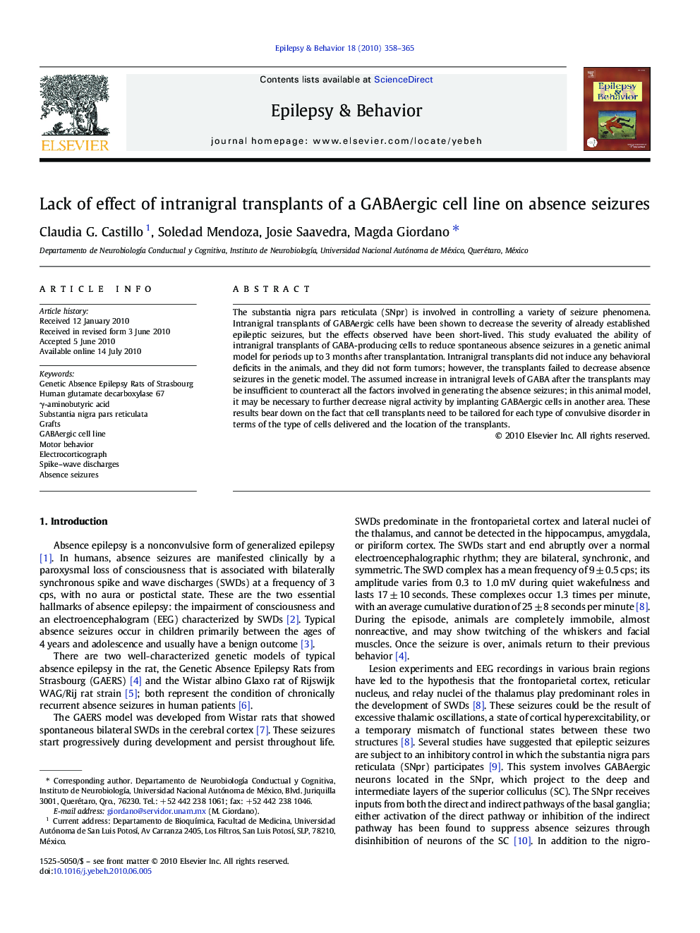 Lack of effect of intranigral transplants of a GABAergic cell line on absence seizures