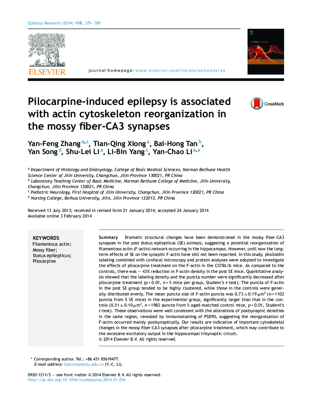 Pilocarpine-induced epilepsy is associated with actin cytoskeleton reorganization in the mossy fiber-CA3 synapses