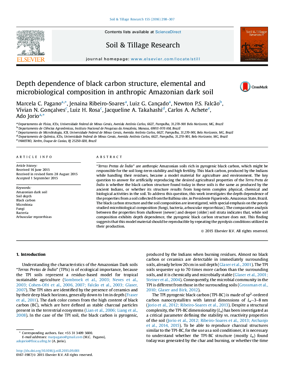 Depth dependence of black carbon structure, elemental and microbiological composition in anthropic Amazonian dark soil