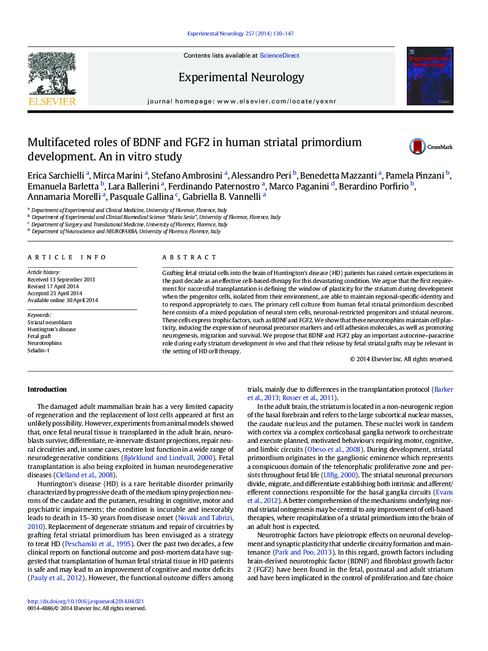 Multifaceted roles of BDNF and FGF2 in human striatal primordium development. An in vitro study