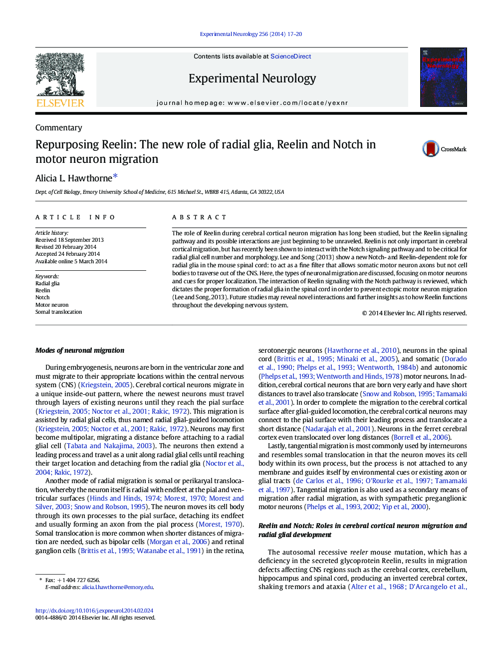 Repurposing Reelin: The new role of radial glia, Reelin and Notch in motor neuron migration