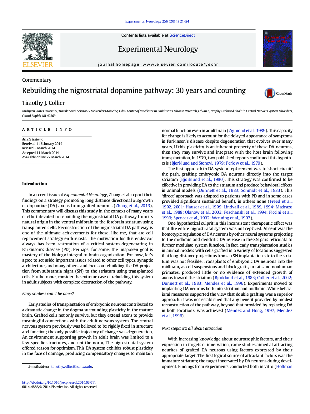 Rebuilding the nigrostriatal dopamine pathway: 30 years and counting