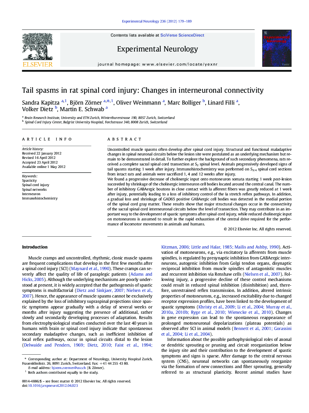 Tail spasms in rat spinal cord injury: Changes in interneuronal connectivity