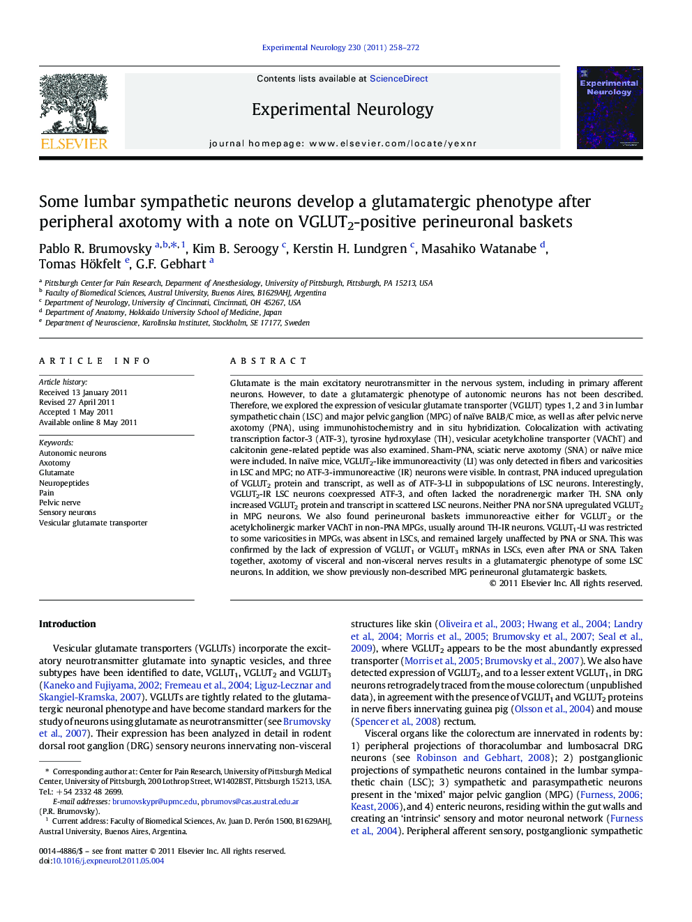 Some lumbar sympathetic neurons develop a glutamatergic phenotype after peripheral axotomy with a note on VGLUT2-positive perineuronal baskets