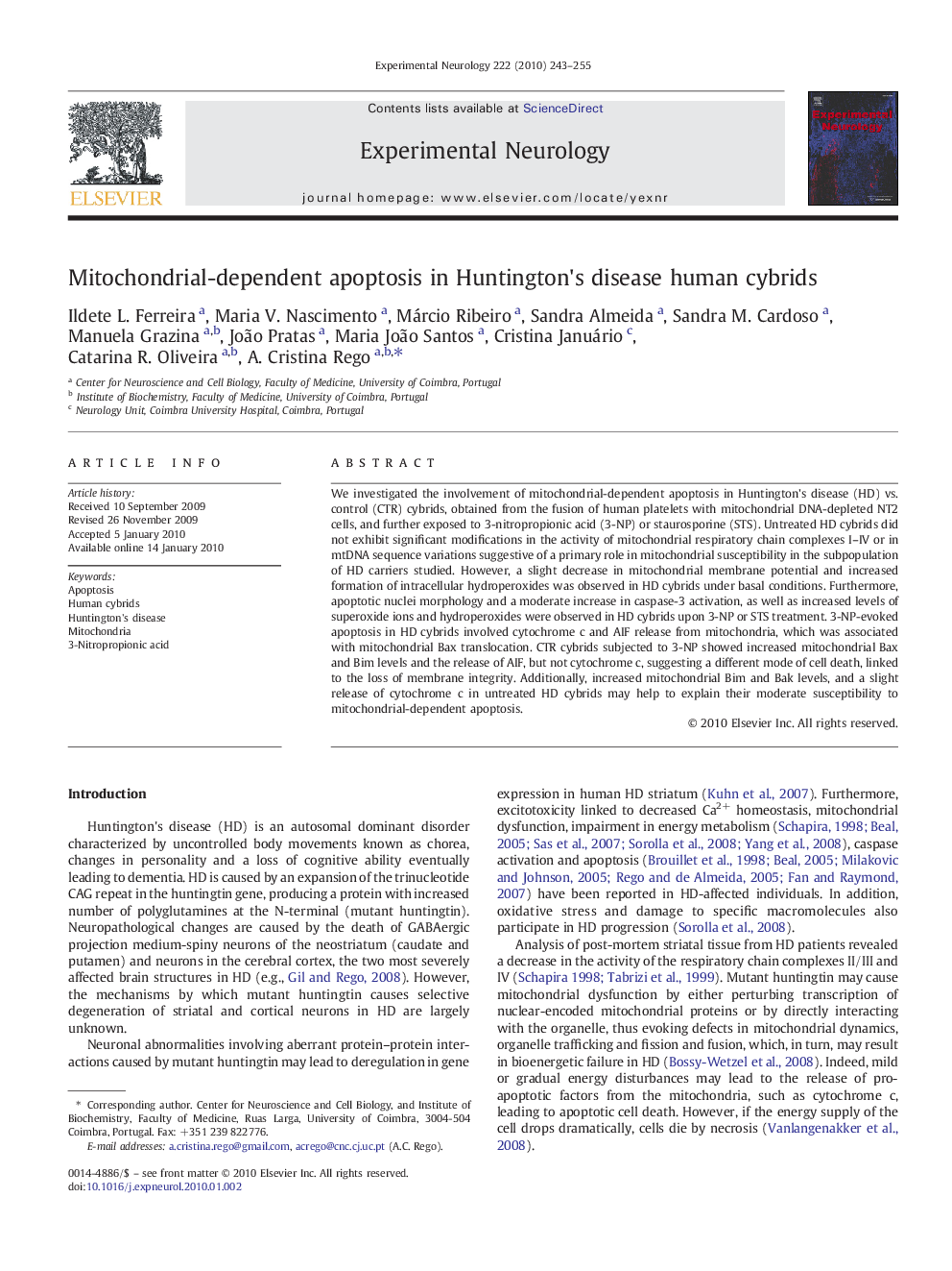 Mitochondrial-dependent apoptosis in Huntington's disease human cybrids