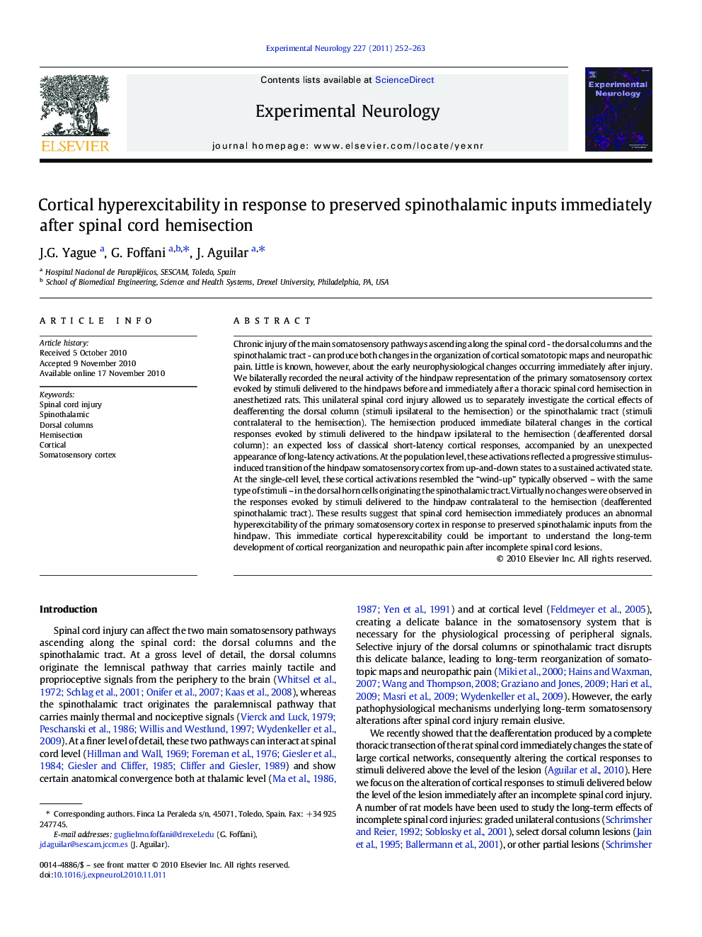 Cortical hyperexcitability in response to preserved spinothalamic inputs immediately after spinal cord hemisection