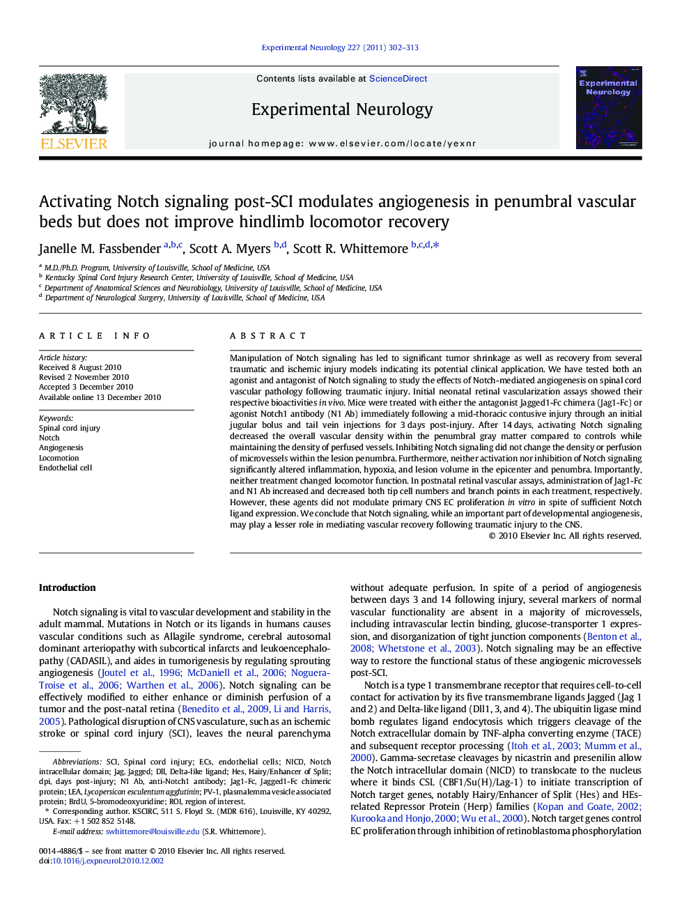 Activating Notch signaling post-SCI modulates angiogenesis in penumbral vascular beds but does not improve hindlimb locomotor recovery