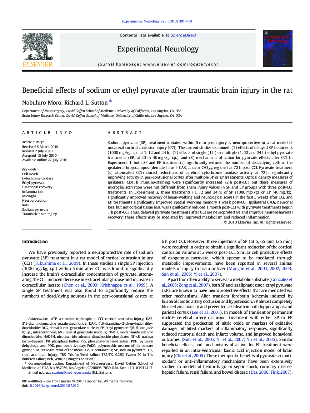 Beneficial effects of sodium or ethyl pyruvate after traumatic brain injury in the rat