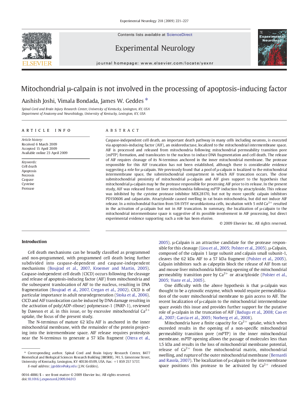 Mitochondrial μ-calpain is not involved in the processing of apoptosis-inducing factor