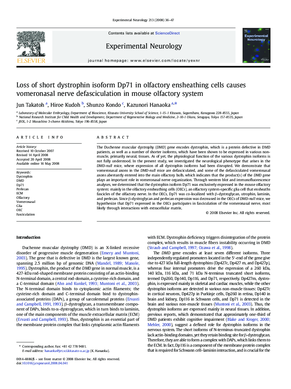 Loss of short dystrophin isoform Dp71 in olfactory ensheathing cells causes vomeronasal nerve defasciculation in mouse olfactory system