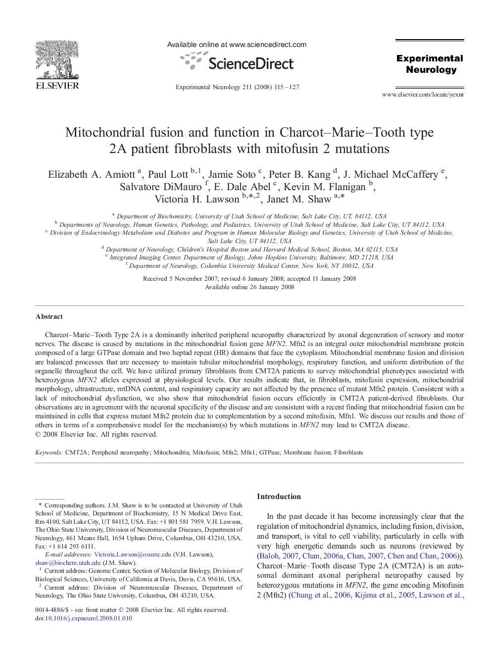 Mitochondrial fusion and function in Charcot–Marie–Tooth type 2A patient fibroblasts with mitofusin 2 mutations