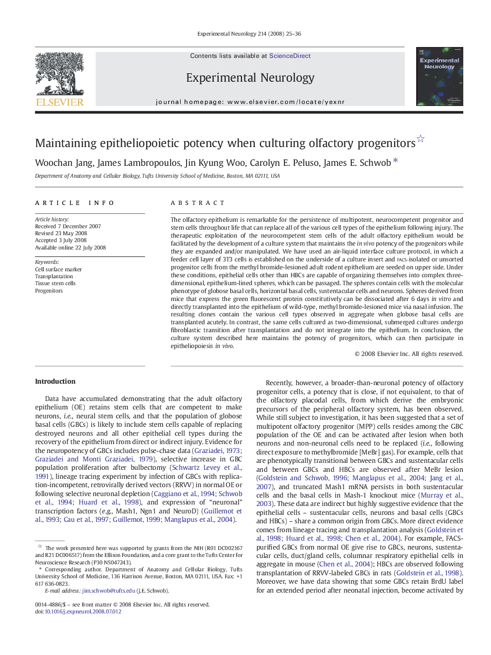 Maintaining epitheliopoietic potency when culturing olfactory progenitors 