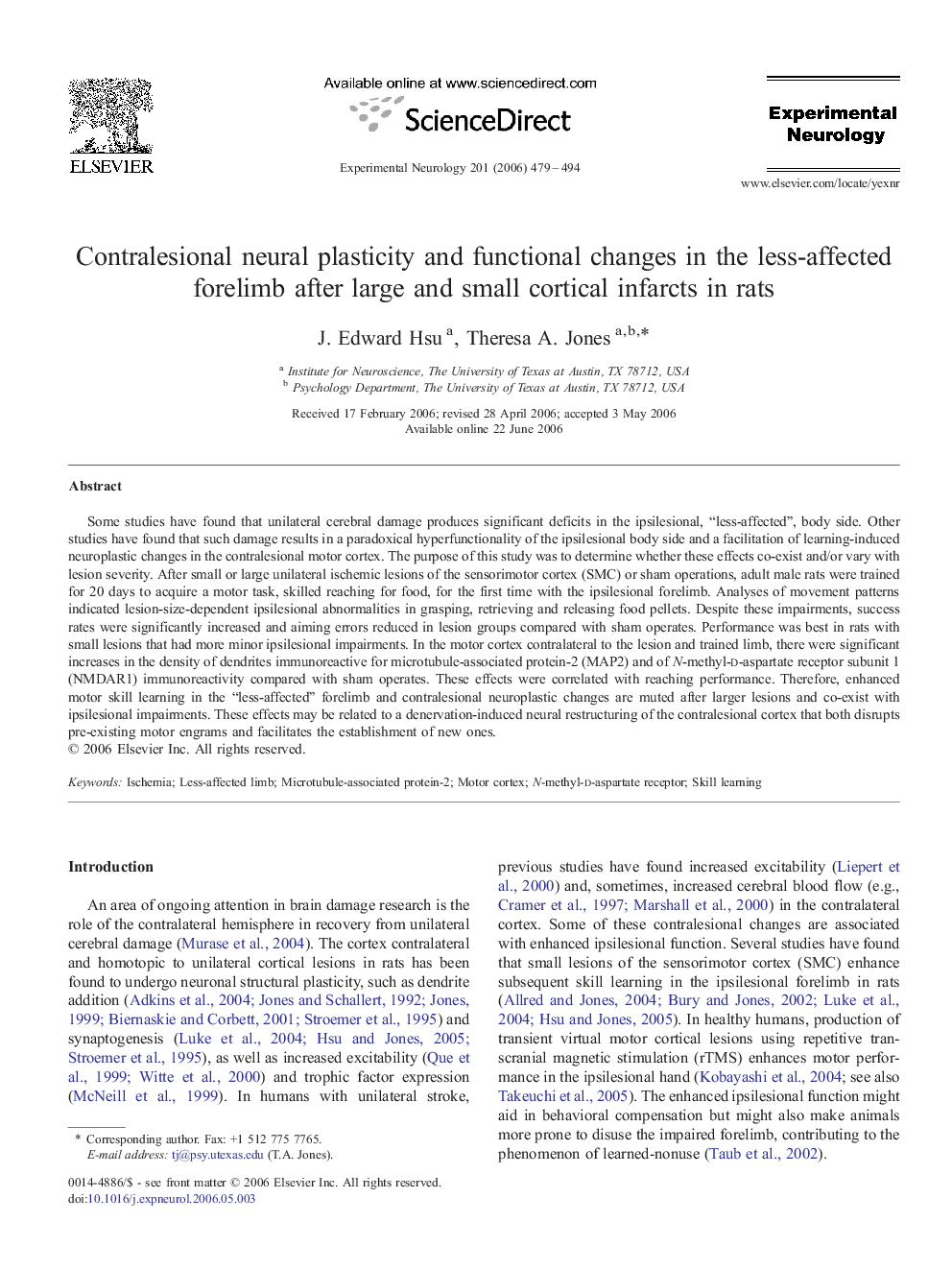 Contralesional neural plasticity and functional changes in the less-affected forelimb after large and small cortical infarcts in rats