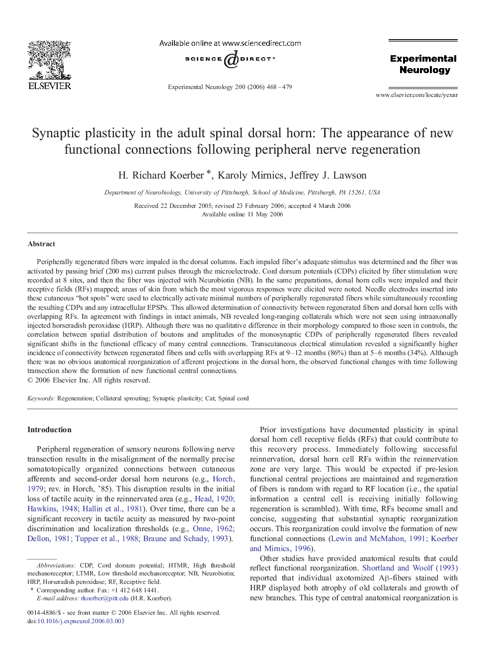 Synaptic plasticity in the adult spinal dorsal horn: The appearance of new functional connections following peripheral nerve regeneration