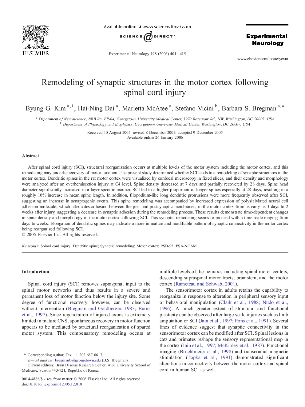 Remodeling of synaptic structures in the motor cortex following spinal cord injury