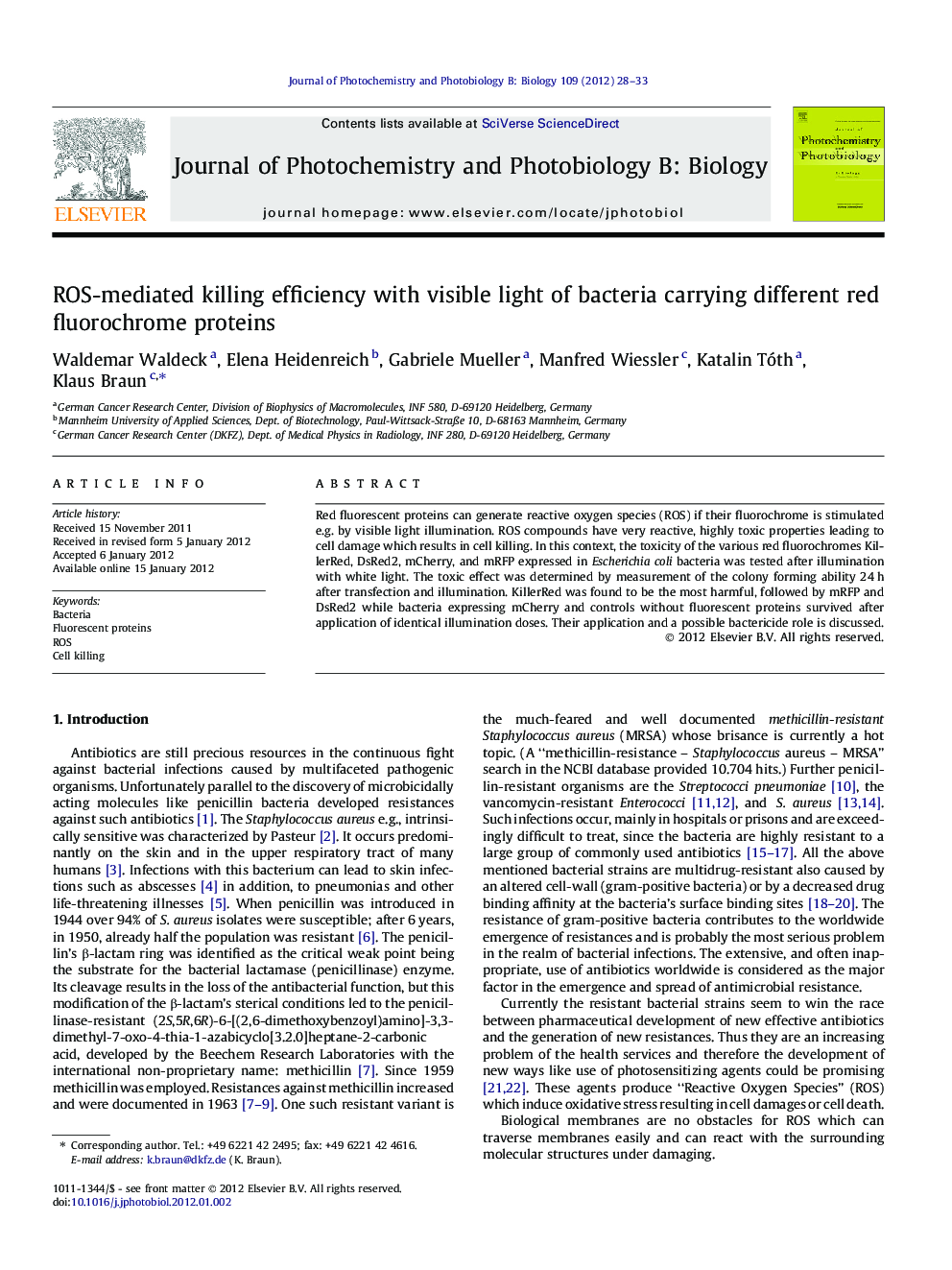 ROS-mediated killing efficiency with visible light of bacteria carrying different red fluorochrome proteins