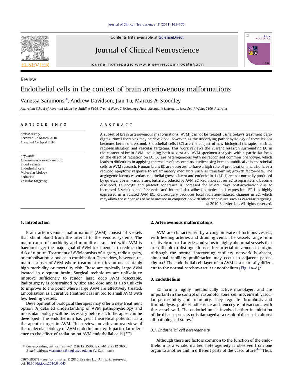 Endothelial cells in the context of brain arteriovenous malformations