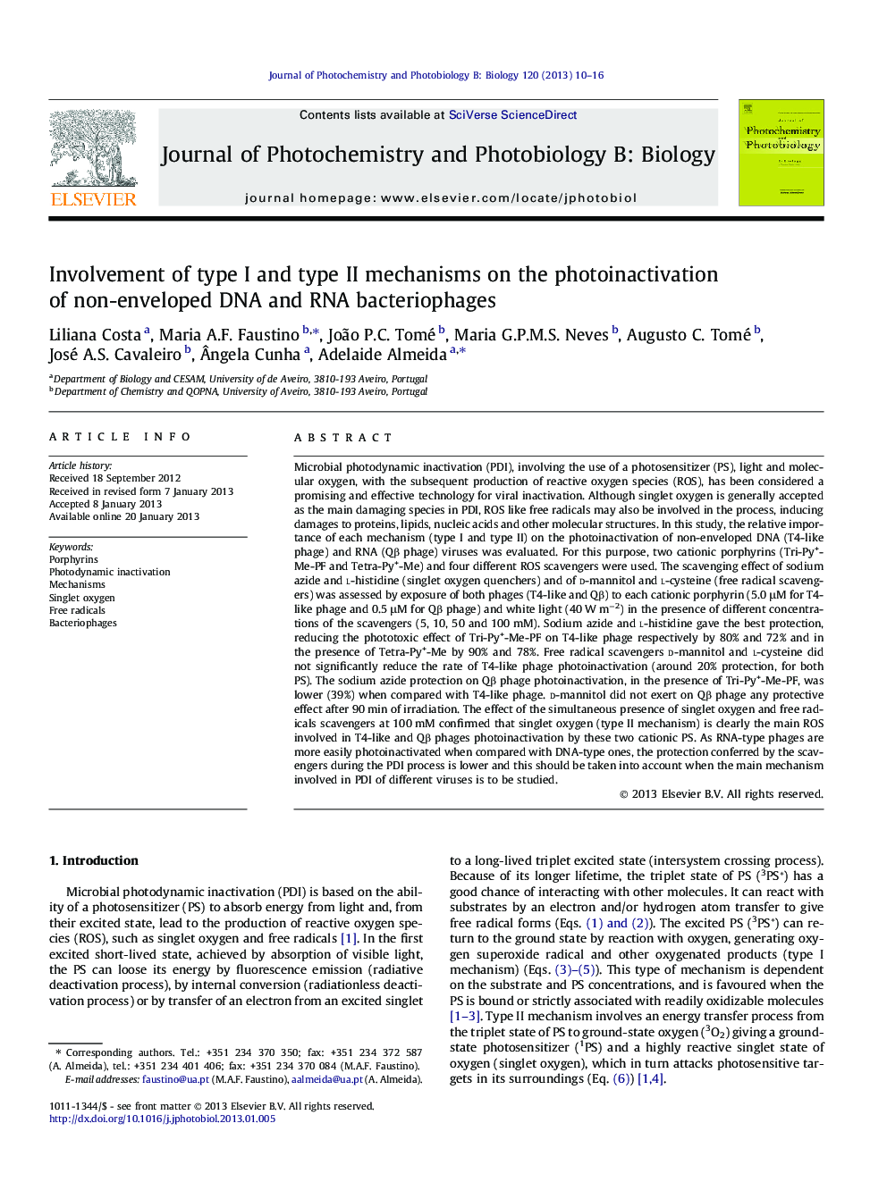 Involvement of type I and type II mechanisms on the photoinactivation of non-enveloped DNA and RNA bacteriophages