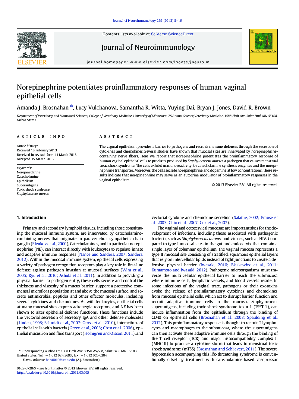 Norepinephrine potentiates proinflammatory responses of human vaginal epithelial cells