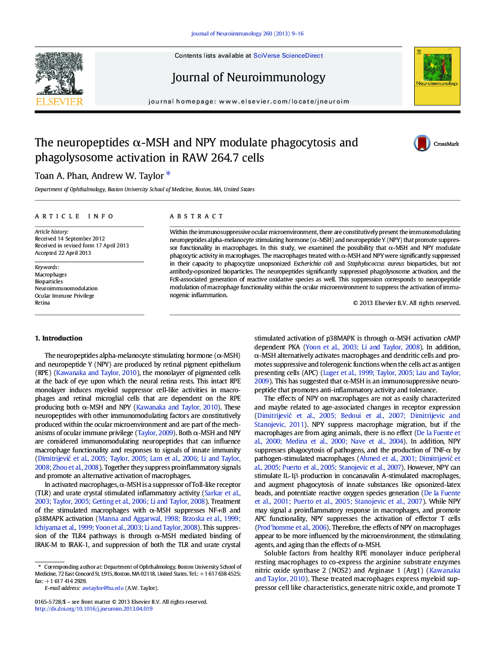 The neuropeptides α-MSH and NPY modulate phagocytosis and phagolysosome activation in RAW 264.7 cells