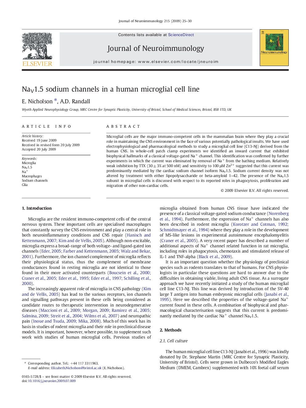 NaV1.5 sodium channels in a human microglial cell line