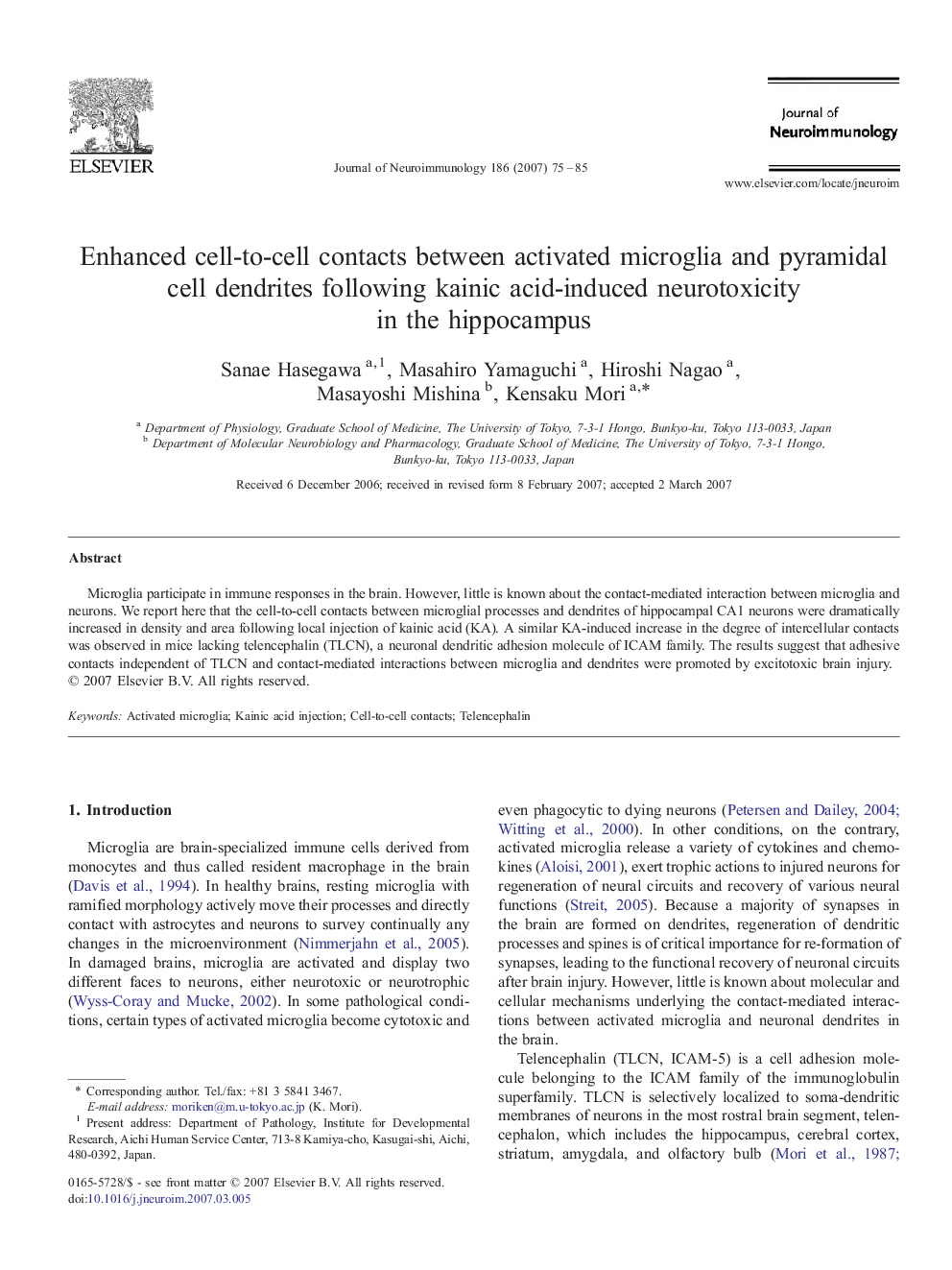 Enhanced cell-to-cell contacts between activated microglia and pyramidal cell dendrites following kainic acid-induced neurotoxicity in the hippocampus