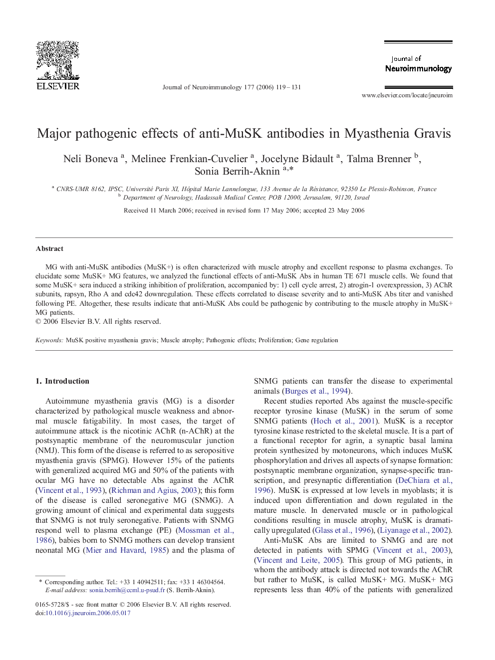 Major pathogenic effects of anti-MuSK antibodies in Myasthenia Gravis