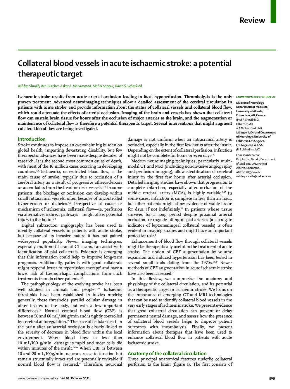 Collateral blood vessels in acute ischaemic stroke: a potential therapeutic target